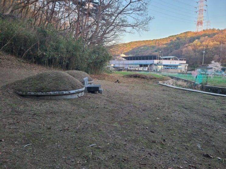 울산 울주군 반천리 언양읍 896-2 봉분 2기 100평 벌초대행+시노대 대나무 70평 제거대행(" 울산벌초대행")