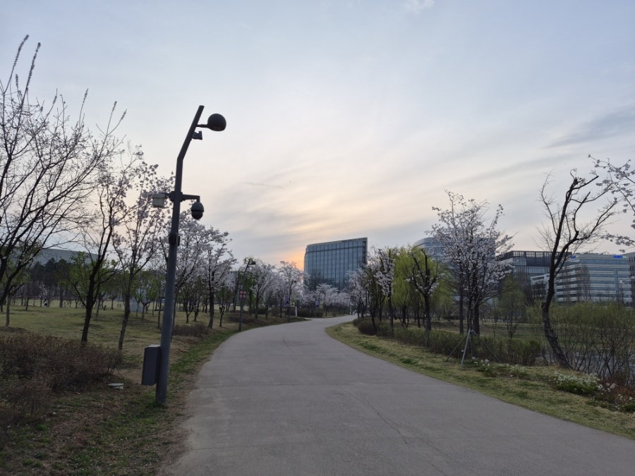 목포낙지 사진 4