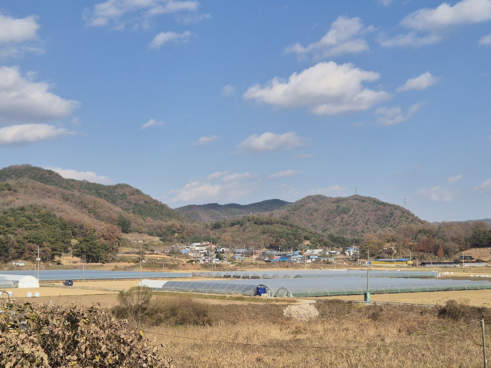 활골 사진 5