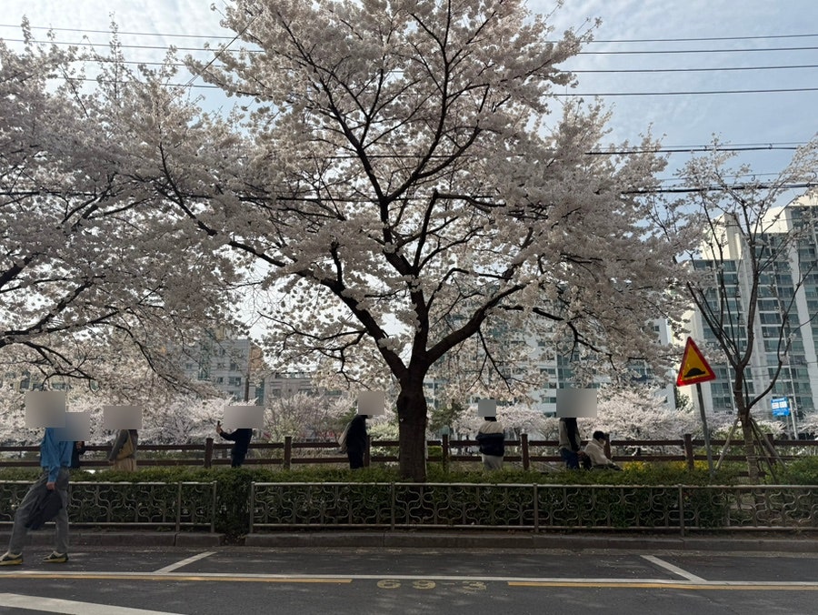해피치 사진 4