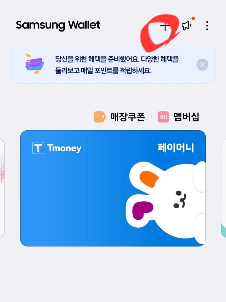 eSIM 삼성페이 K-패스 등록 오류? 티머니 말고 '이즐' 써야 하는 이유 (체크카드 주의사항 총정....