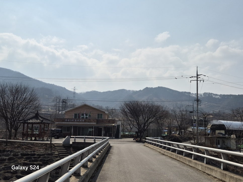 활골 사진 6