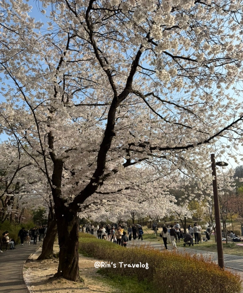 사진 9