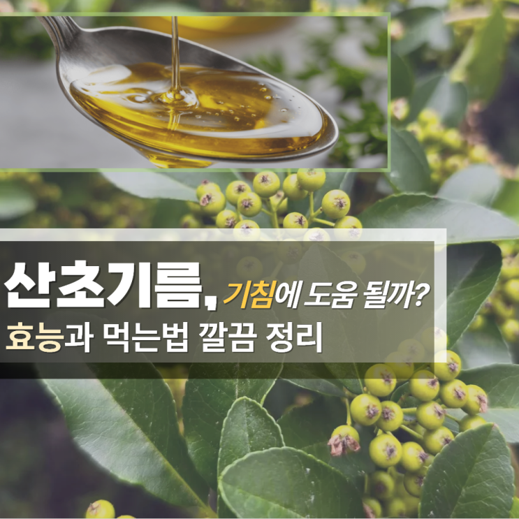  산초기름 효능 효과 먹는방법 기침