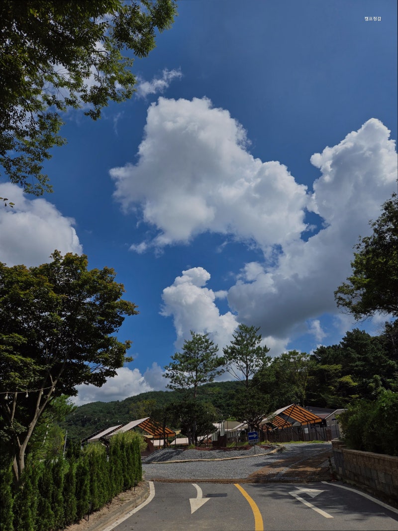 사진 2