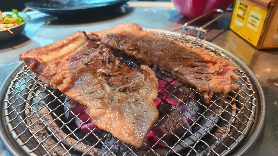 꿀돼지 사진 6