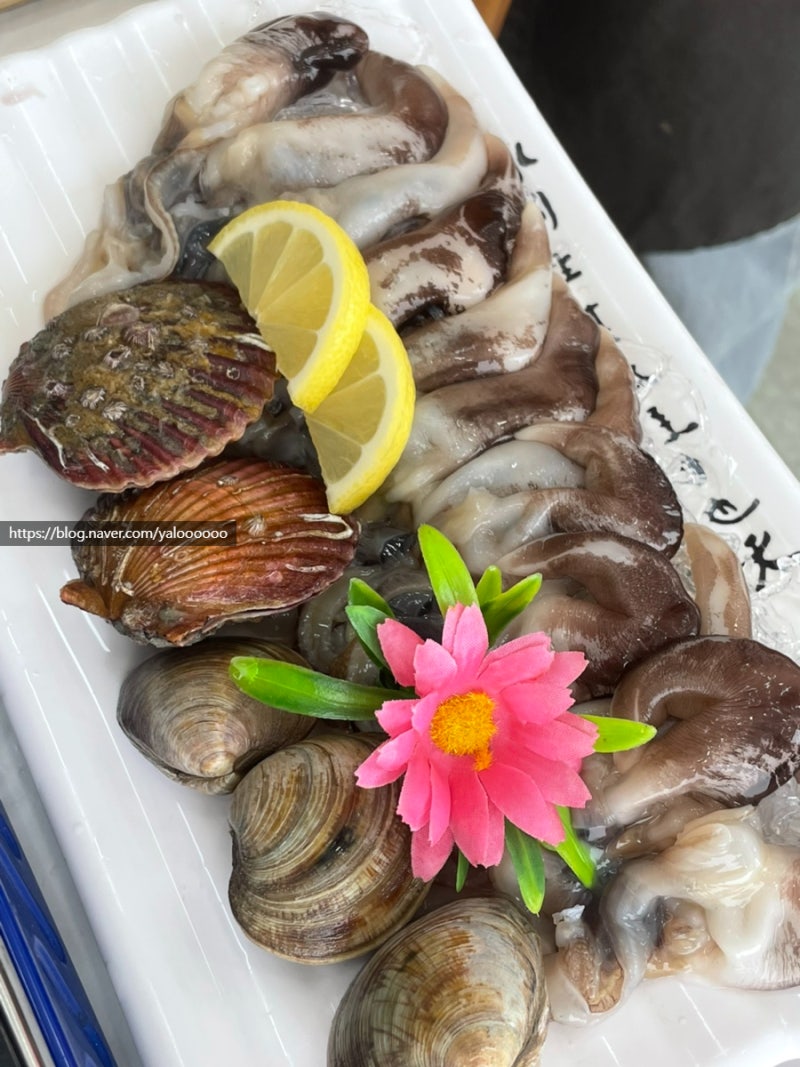 [태안/안면도 맛집] 막퍼주는횟집 | 새조개 맛집 | 안면도 제철해산물 전문점
