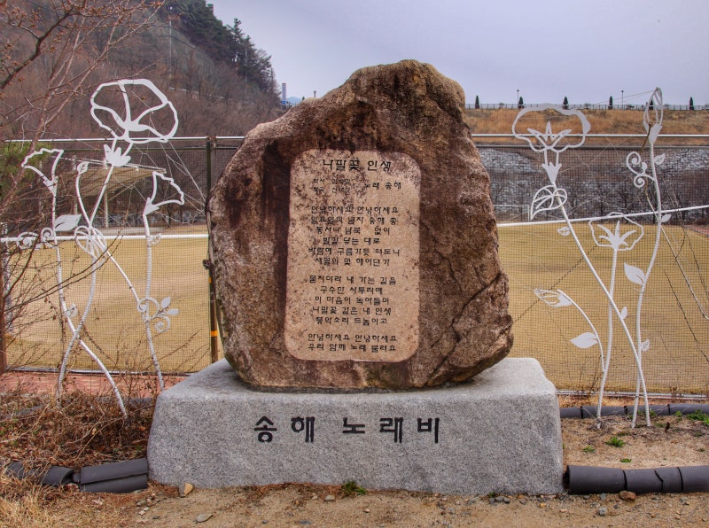 사진 8