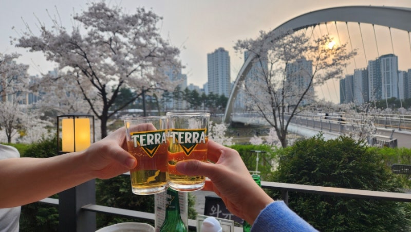 사진 5