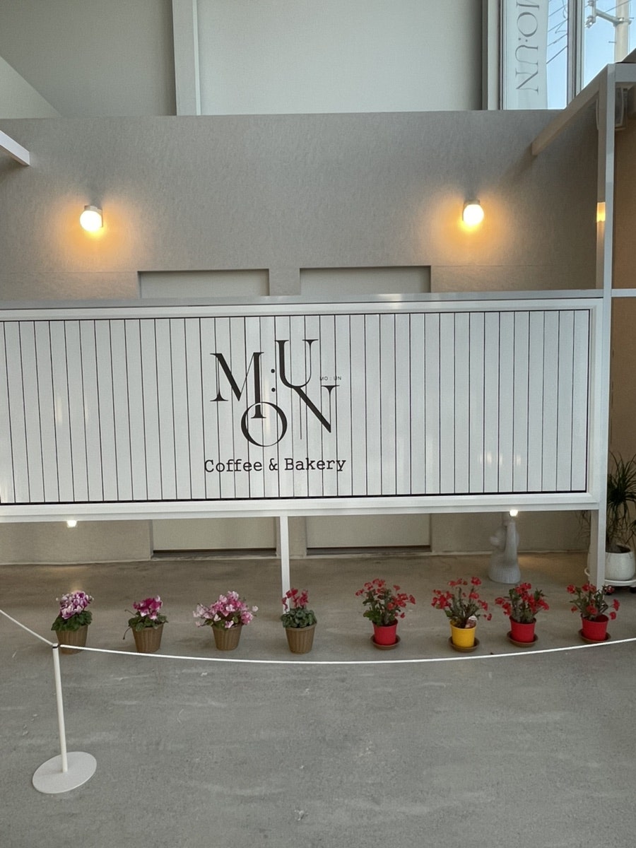 모운 사진 6