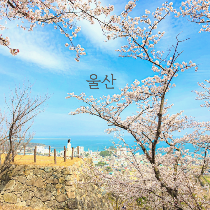 사진 7