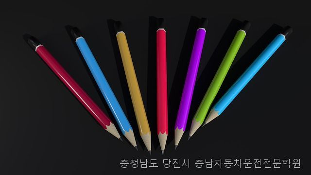 충남자동차운전전문학원 사진 4