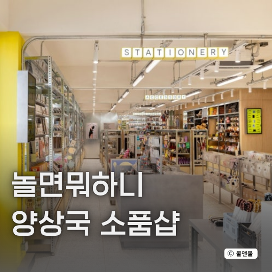  놀면뭐하니 양상국 찰스왕세자 집들이 선물 소품샵 편집샵 이구홈 성수2점