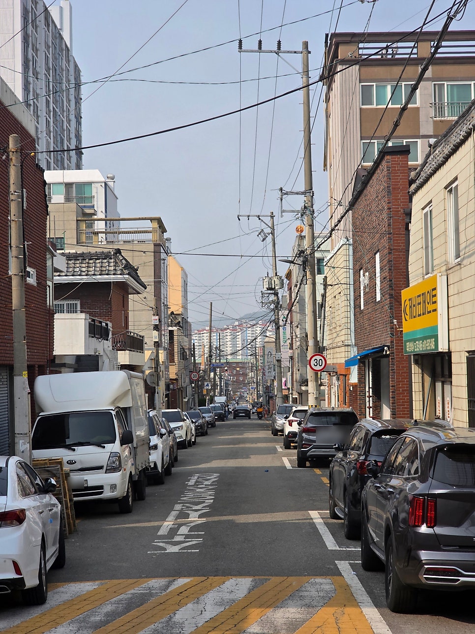 감나무집 사진 1