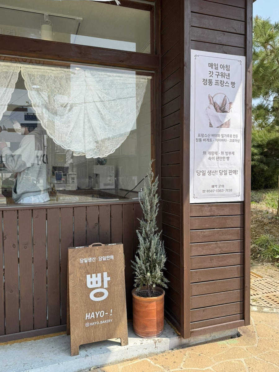 하요 사진 3