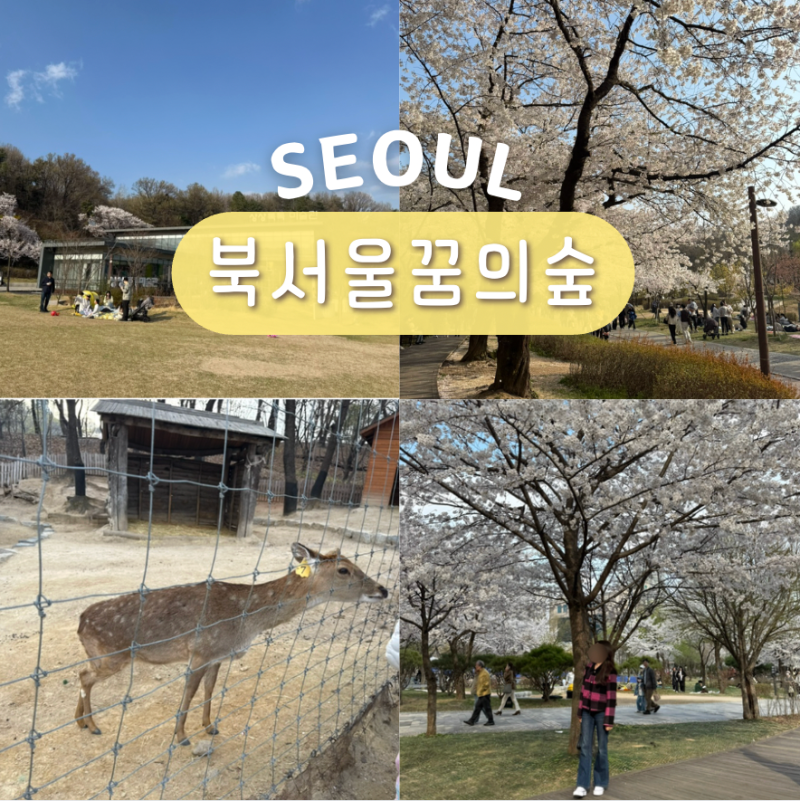 사진 8