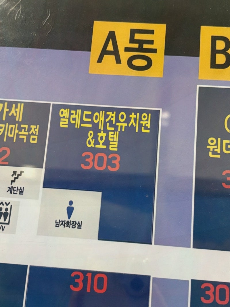 사진 3