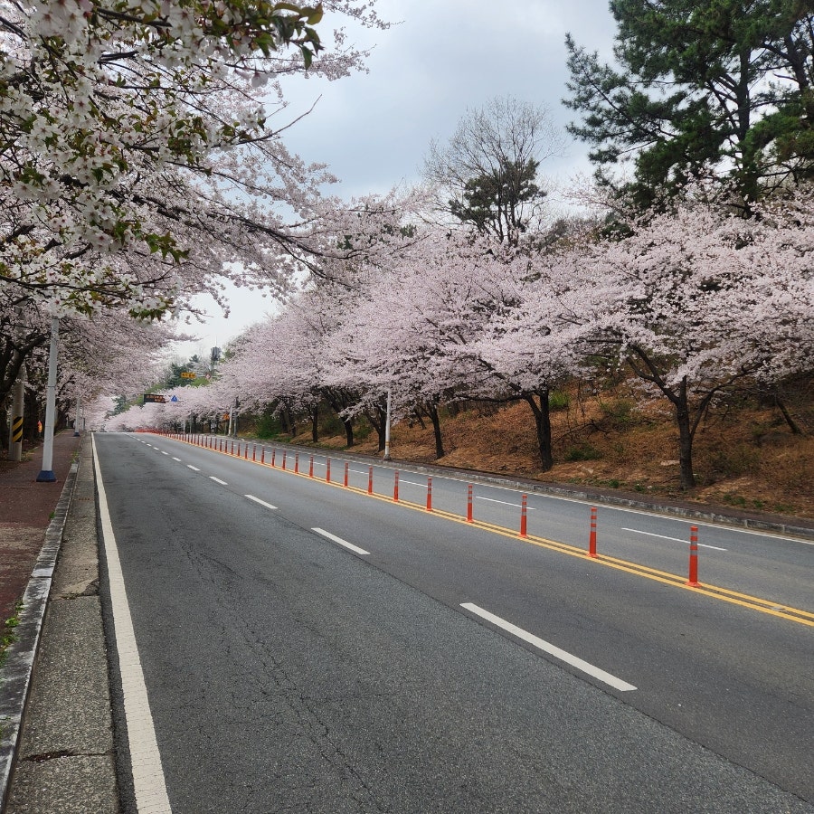 해운대시원한대구탕 사진 1