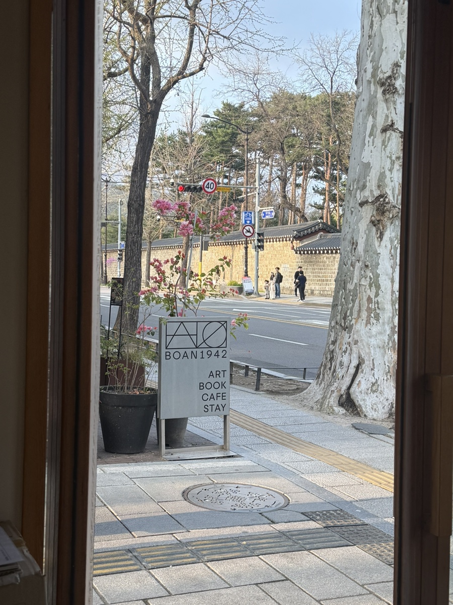 돌밭메밀꽃 사진 3