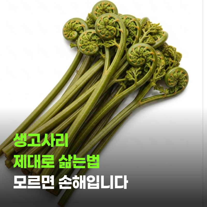 생고사리 제대로 삶는법 모르면 손해입니다