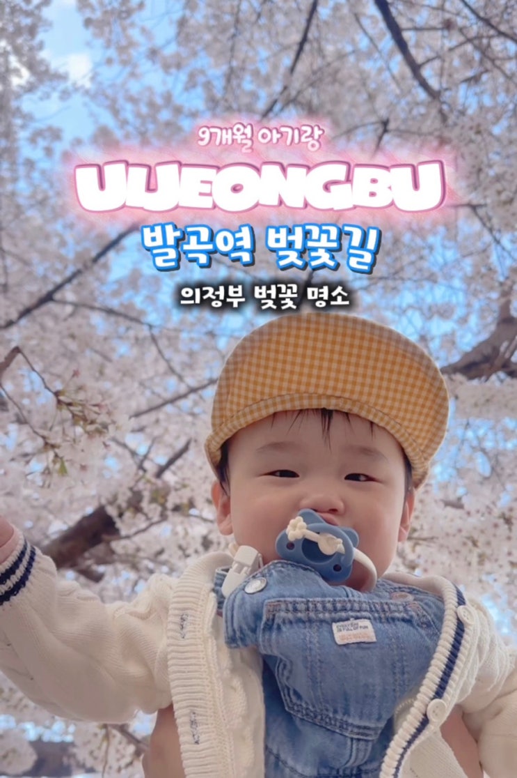  의정부 발곡역 벚꽃길 실시간 후기 아기랑 여유롭게 즐긴 만개 벚꽃 명소(26.04.04 방문, 주차)