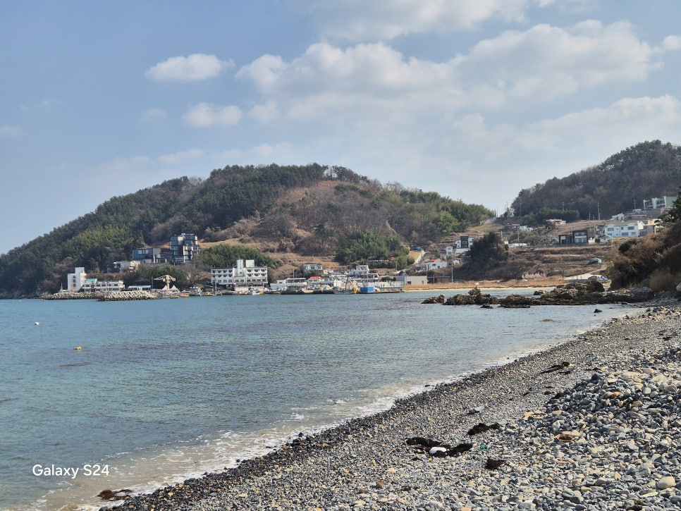 활골 사진 4