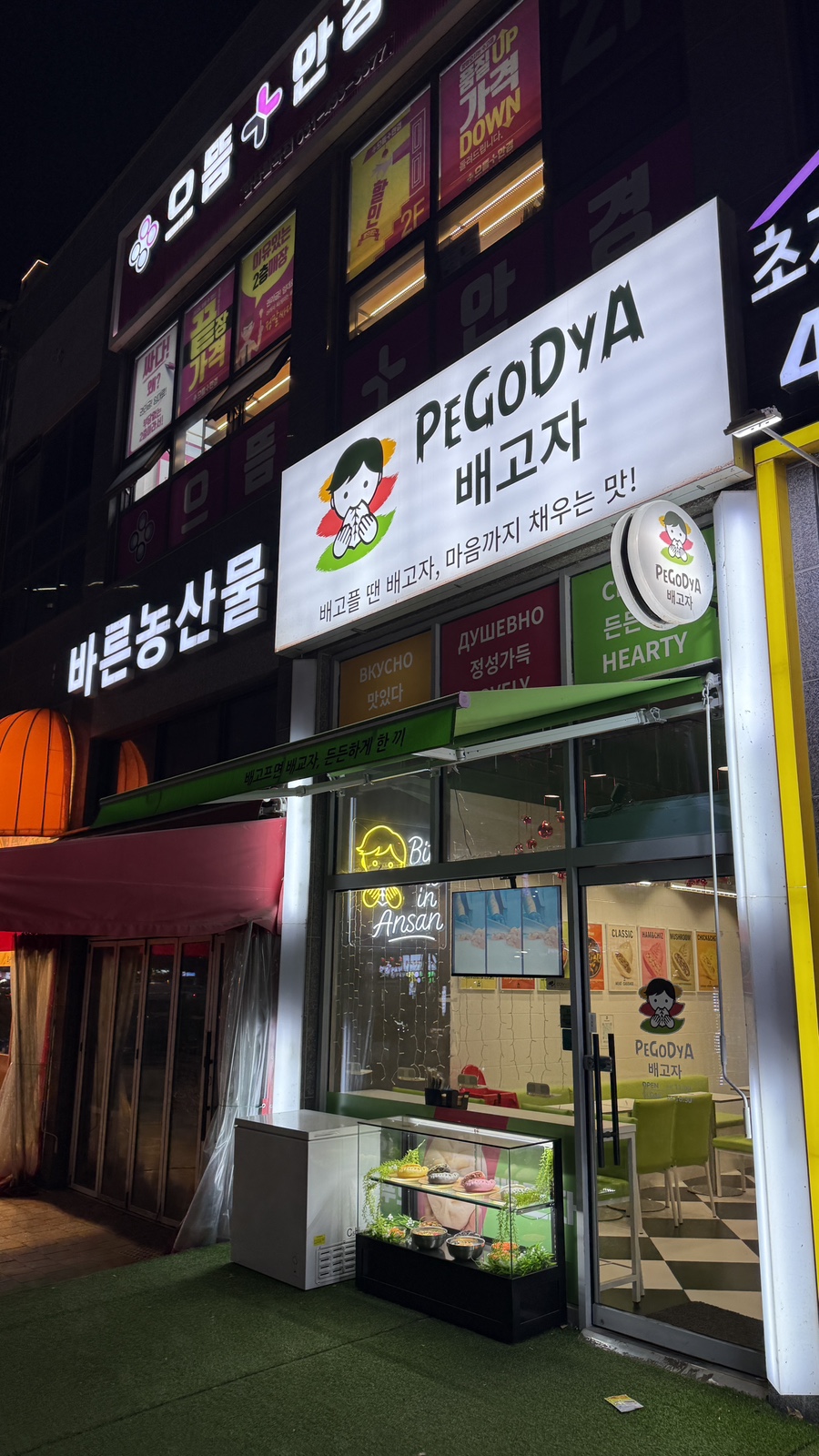 배고자 사진 2