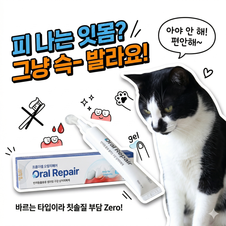  양치 피나는 고양이 치주염 관리, 프롬더셀 오랄리페어 바르는 치약 후기