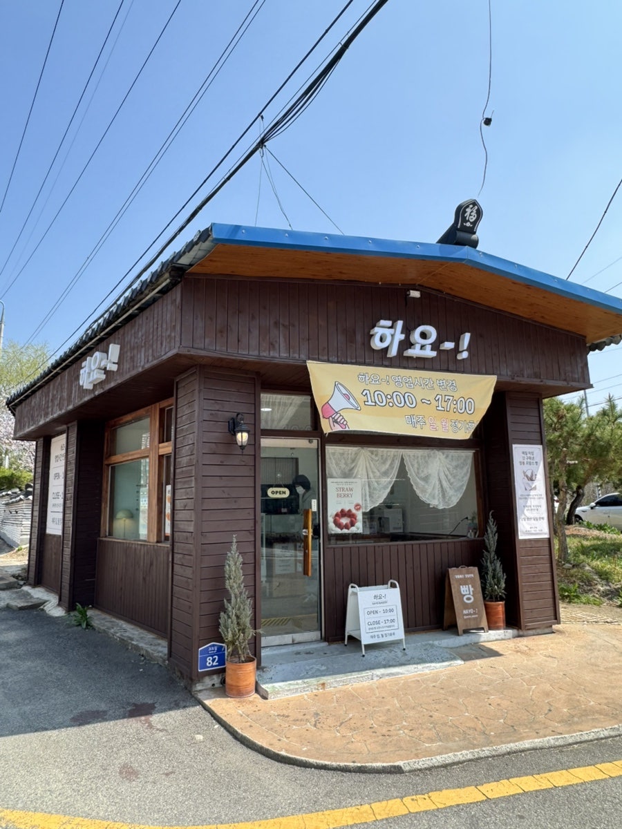하요 사진 2