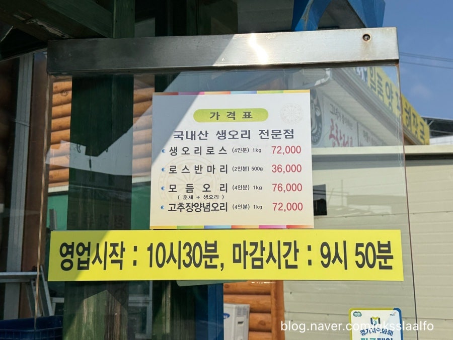 황금오리 사진 2