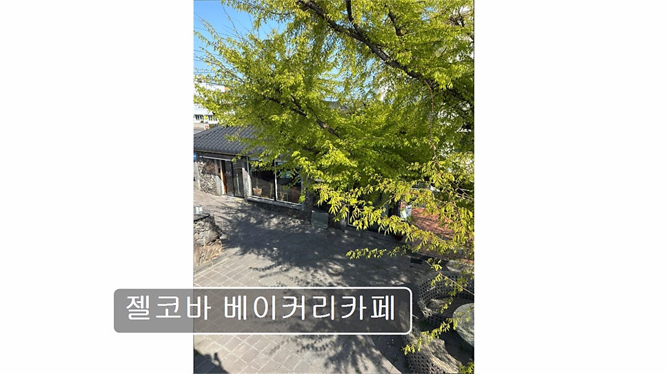 젤코바베이커리 사진 3