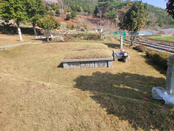  울산 울주군 두서면 서하리 425 봉분 3기 130평 벌초대행("울주벌초대행")