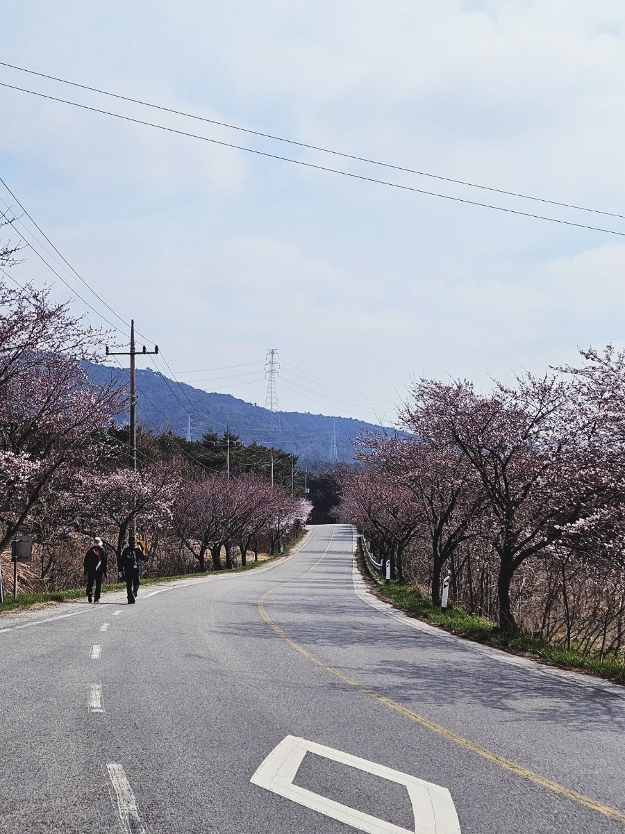 간대산 사진 5