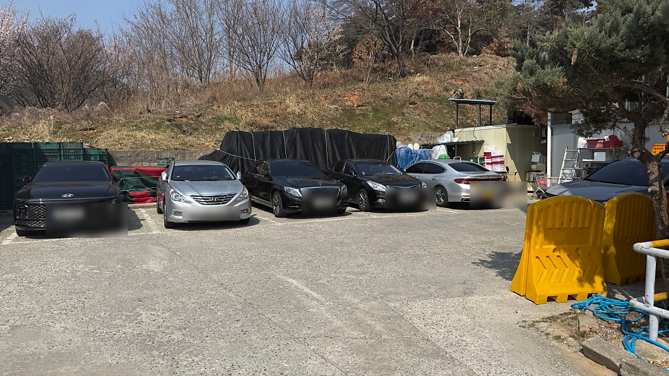 김강심칼국수 본점 사진 3