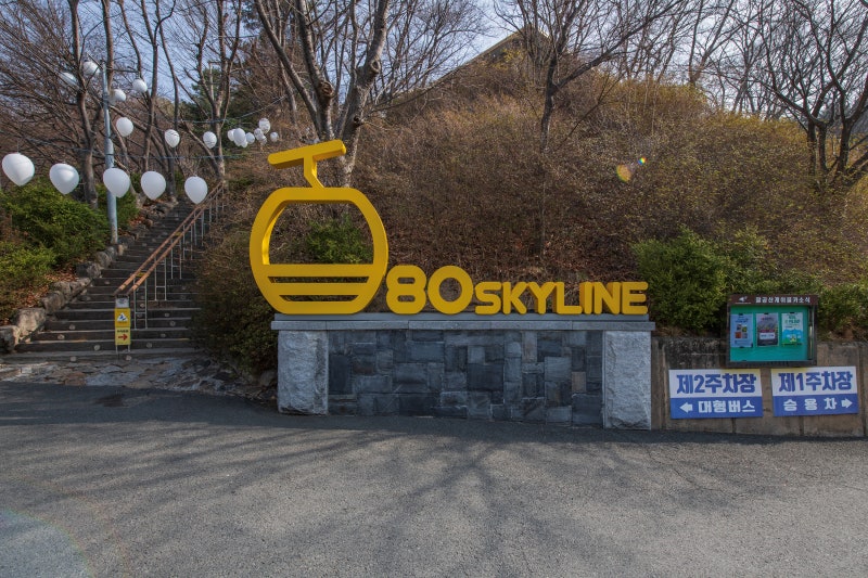 사진 8