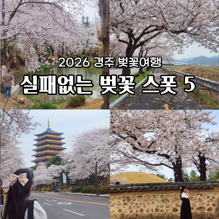  경주 벚꽃 보문정 외 추천 실패 없는 벚꽃 인생샷 스폿 5