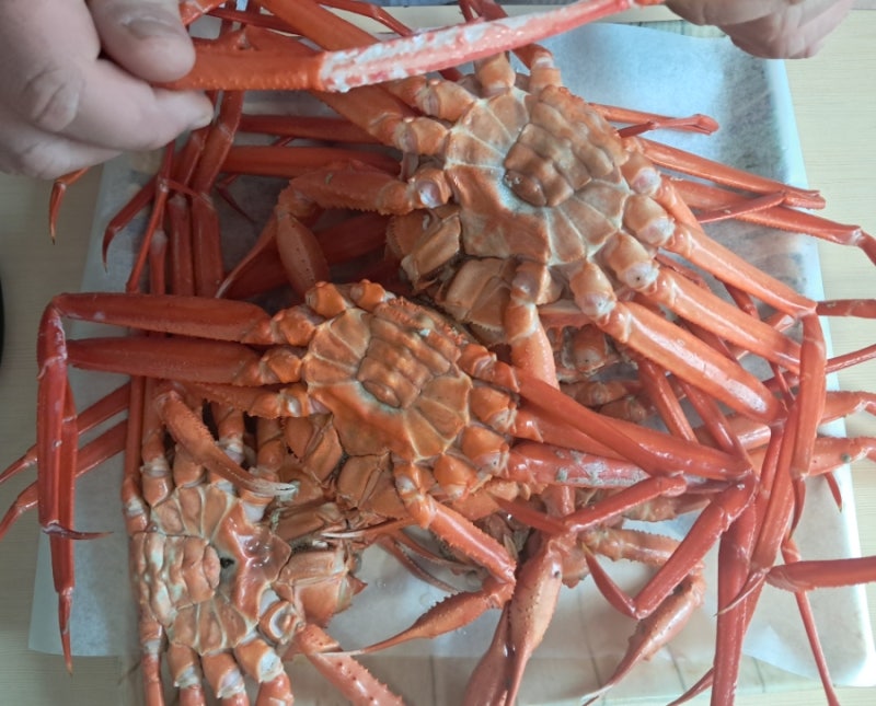 집으로 배송된 홍게찜 후기 (+홍게 라면 꿀팁 & 게껍데기 버리는 법)