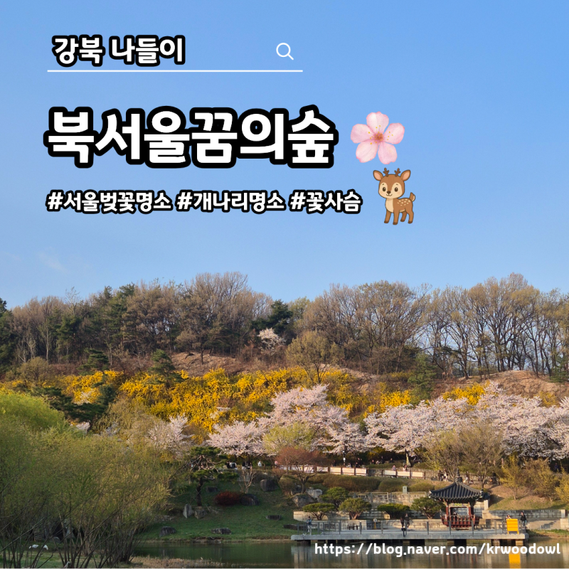 [강북 나들이] 북서울꿈의숲 -벚꽃도 예쁘지만 개나리도 예쁘네 (26.04.04 개화 상황, 주차요금,....