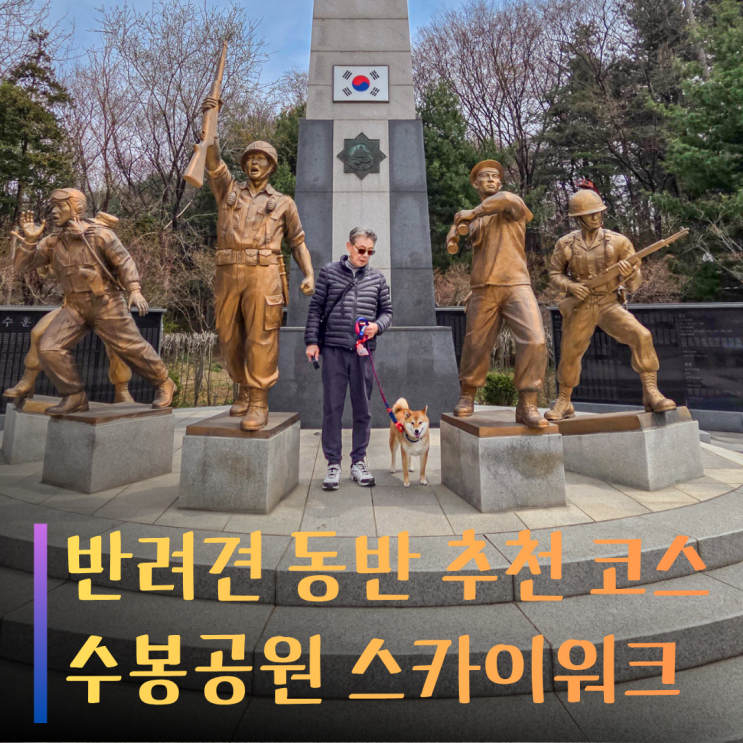  수봉공원 스카이워크 반려견 동반 방문기: 주차장부터 하늘길까지 총정리