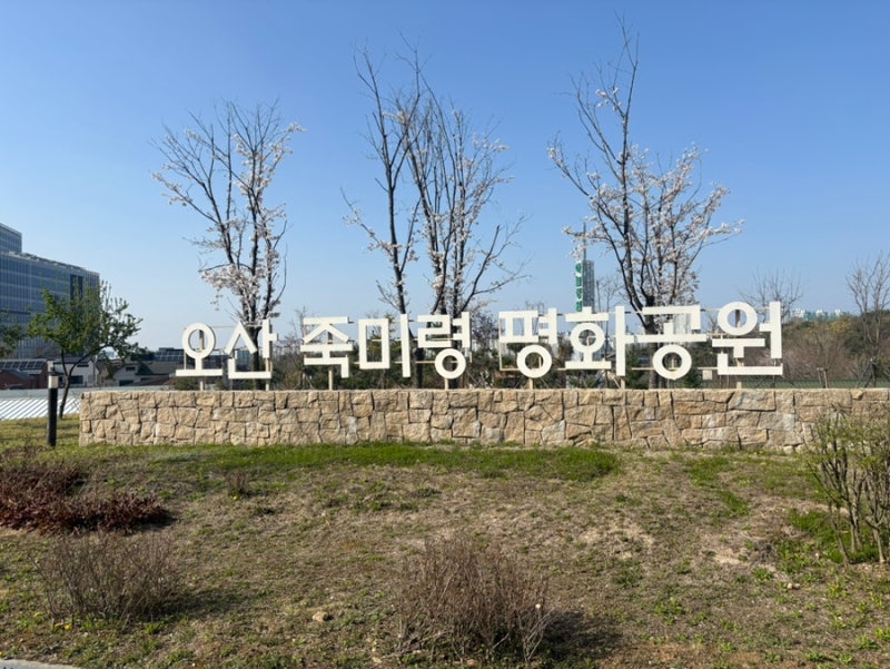 사진 8