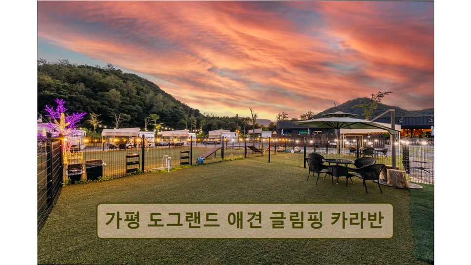 도그랜드글램핑 사진 2