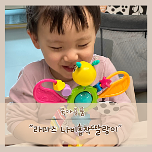 8개월9개월 아기 장난감 추천 라마즈 나비흡착딸랑이로 준비해요