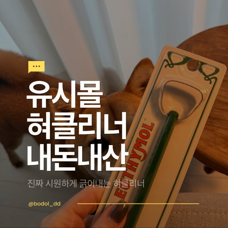 유시몰 혀클리너 다써봐도 이게 제대로 긁어냄