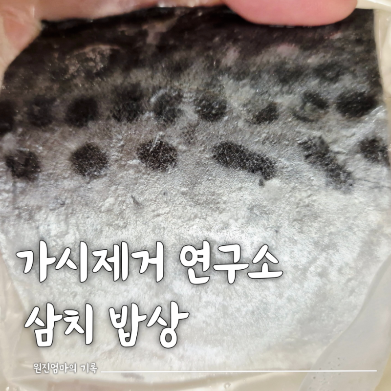 가시제거연구소 삼치구이 아이 밥반찬 고민끝!