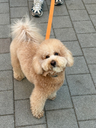 사진 3