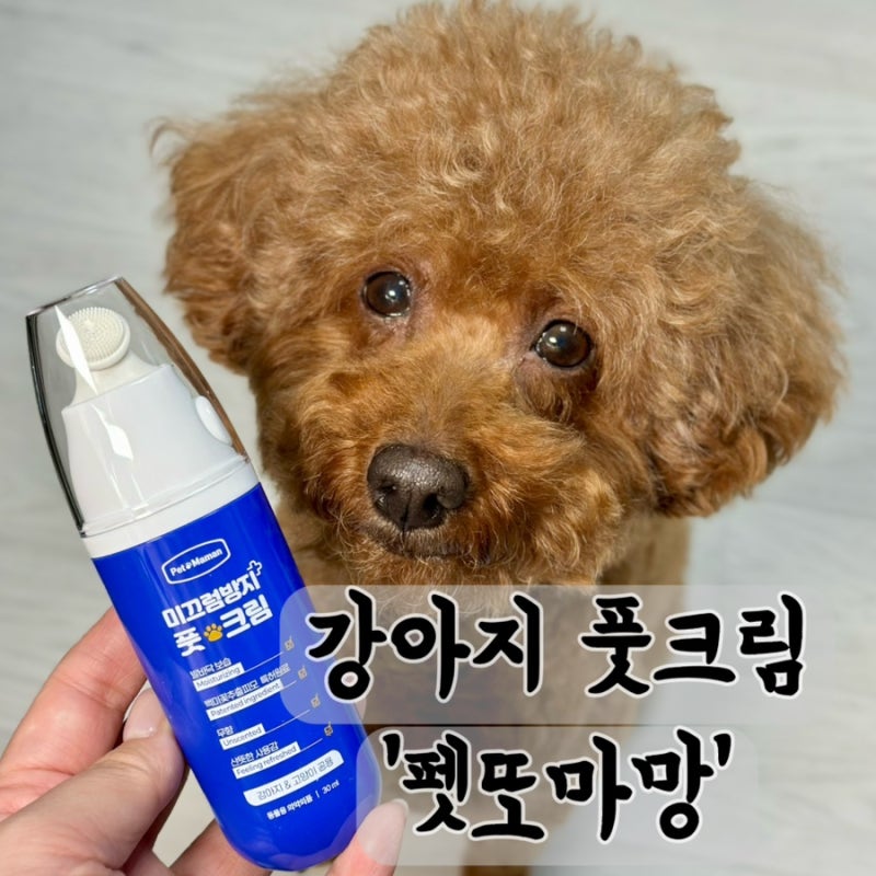 강아지 슬개골 탈구 예방, 펫또마망 미끄럼방지 풋크림으로 발바닥 케어