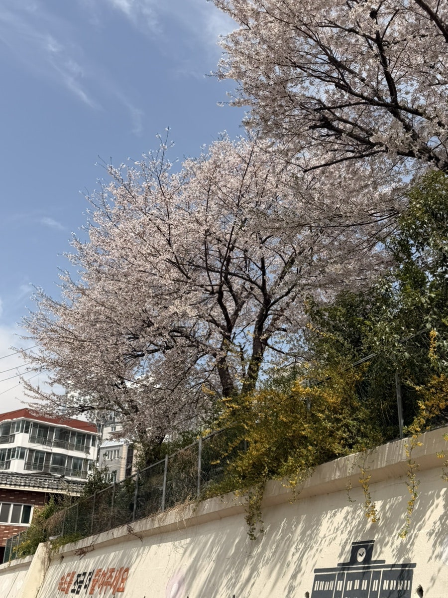 최가네한정식쌈밥 사진 2
