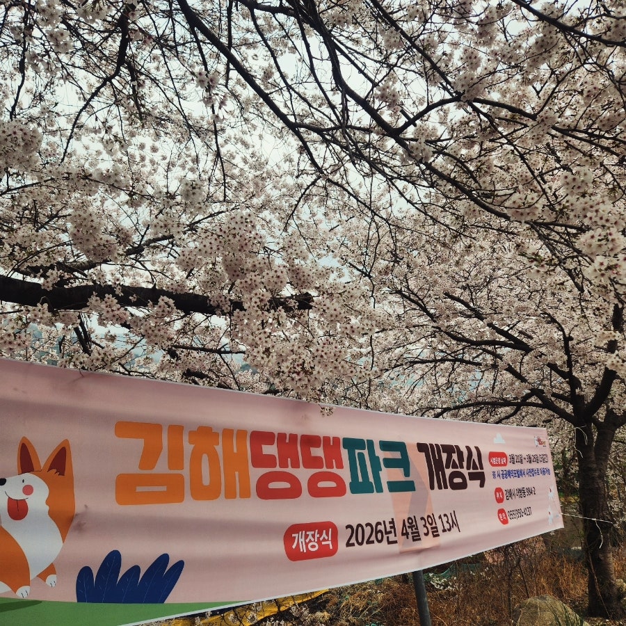 해운대시원한대구탕 사진 4
