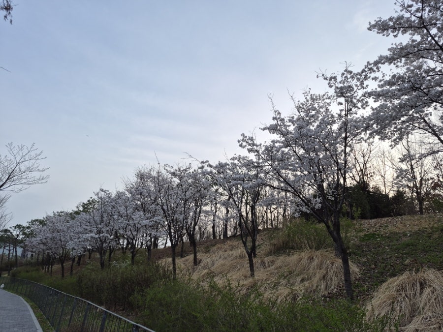 목포낙지 사진 3