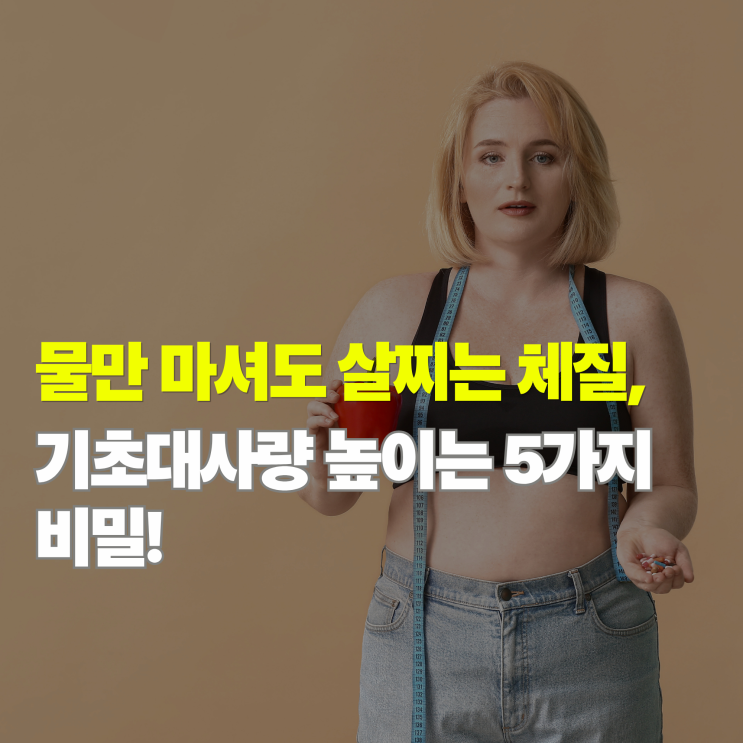  기초대사량 높이는 방법 5가지, 운동만큼 중요한 '이것'만 바꿔도 살 안 찐다?